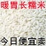 长粒糯粘糯米粽子专用糯米包邮