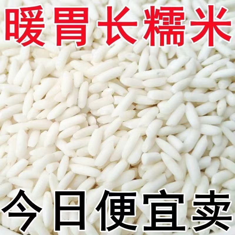 长粒糯粘糯米粽子专用糯米包邮
