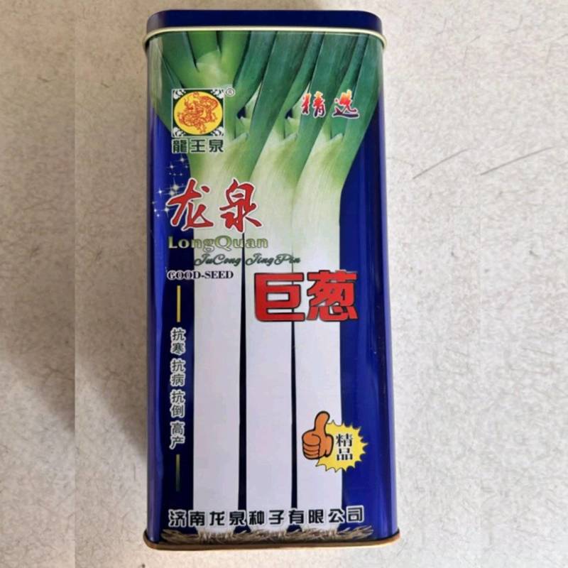 龙泉巨葱种子大葱种子高产抗病生长快葱白长春秋陆地种植