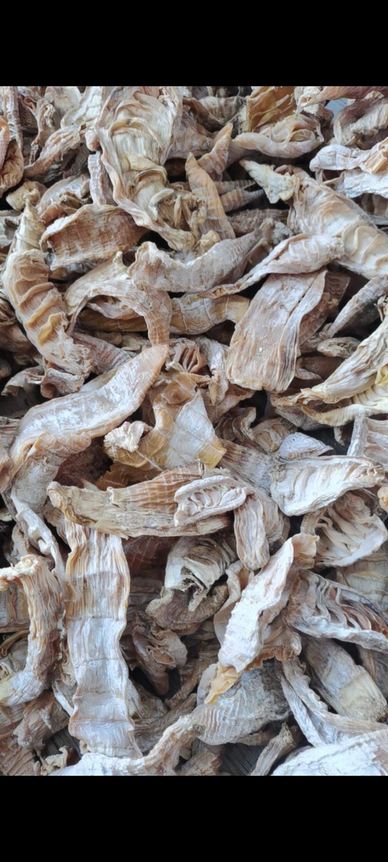 3-5寸的精品笋干量大质优价格优惠一手货源欢迎咨询
