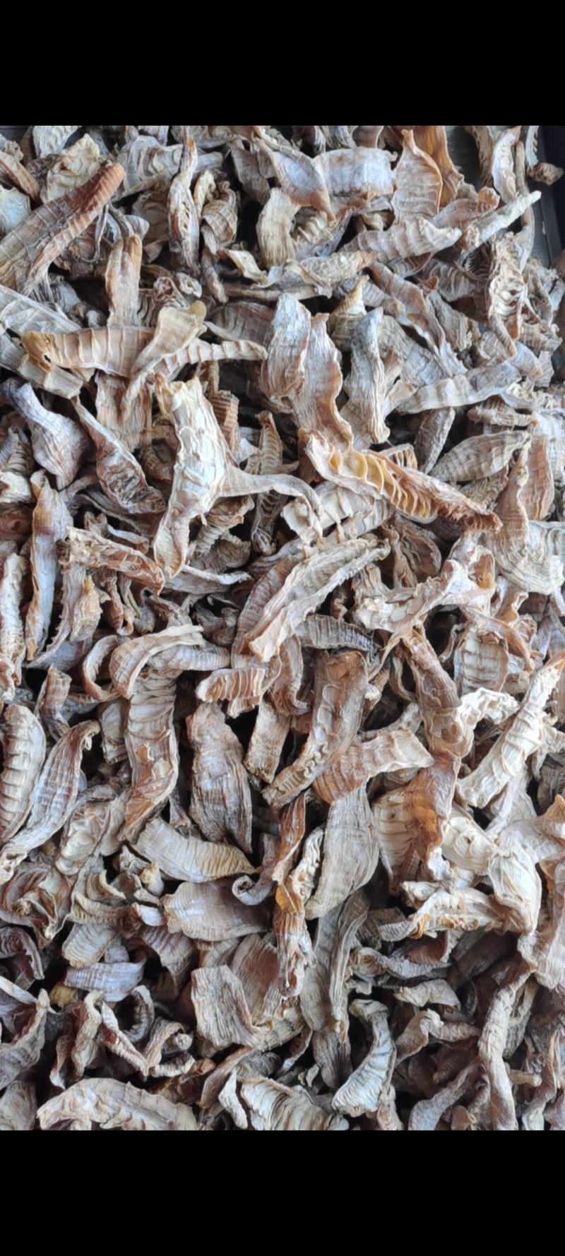 3-5寸的精品笋干量大质优价格优惠一手货源欢迎咨询