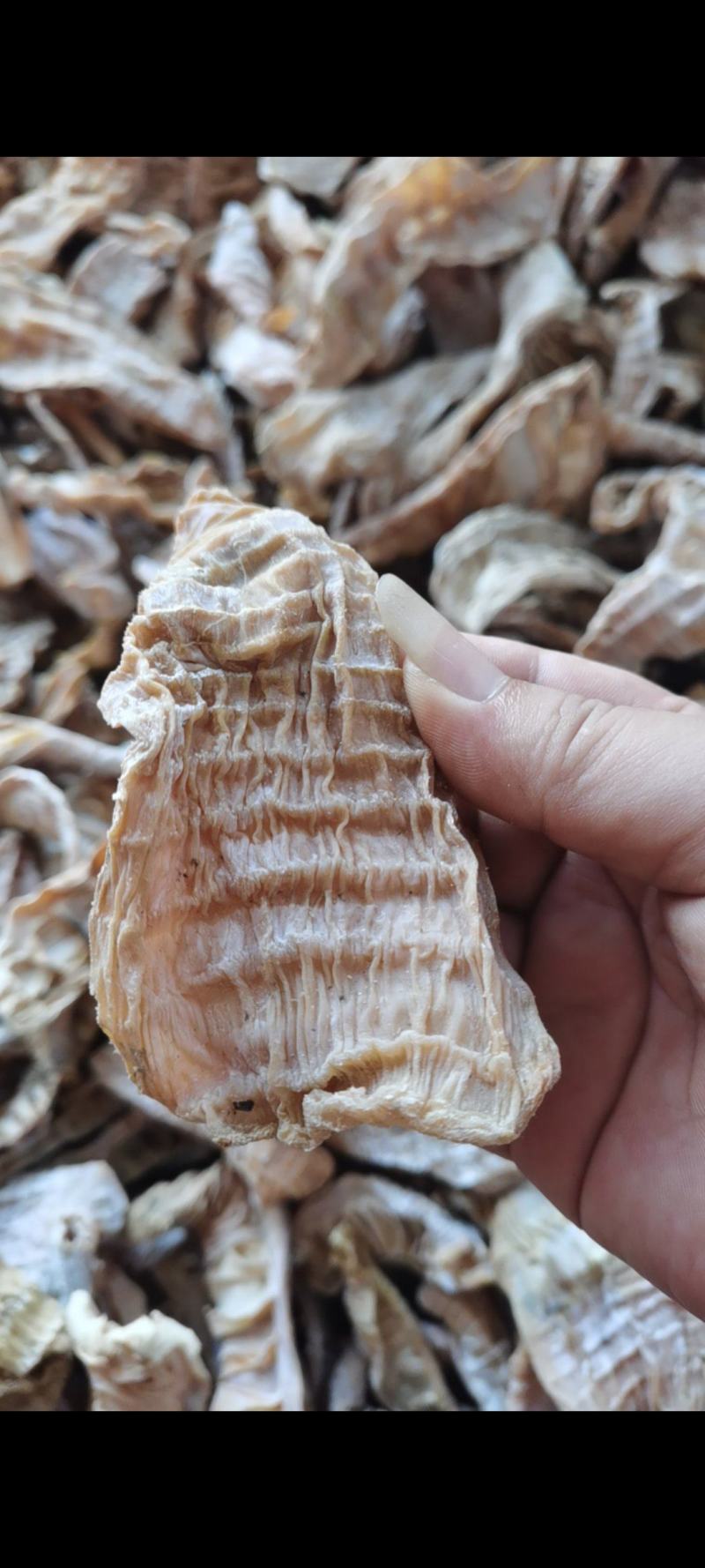 3-5寸的精品笋干量大质优价格优惠一手货源欢迎咨询