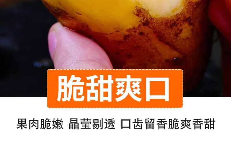 云南雪莲果低碳水果新鲜水果应季新鲜脆甜孕妇水果
