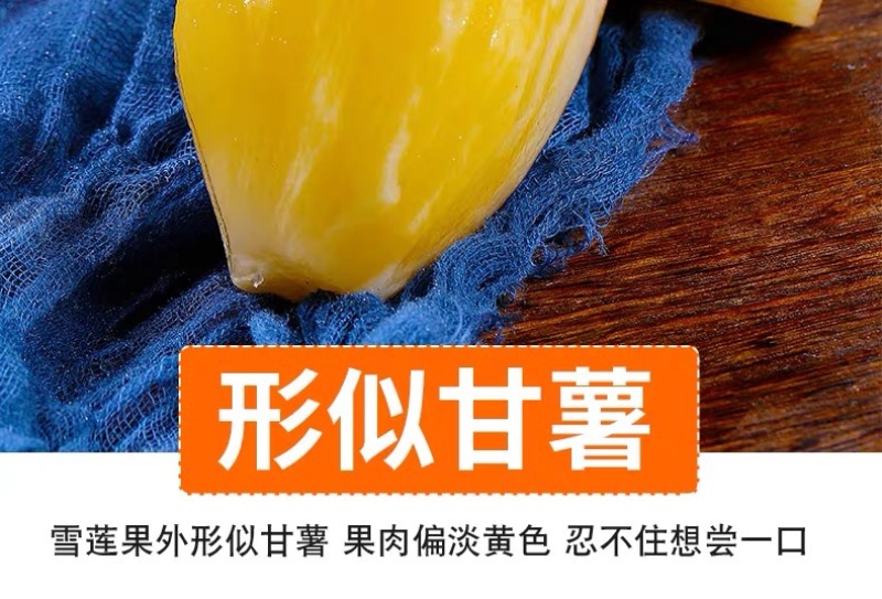 云南雪莲果低碳水果新鲜水果应季新鲜脆甜孕妇水果