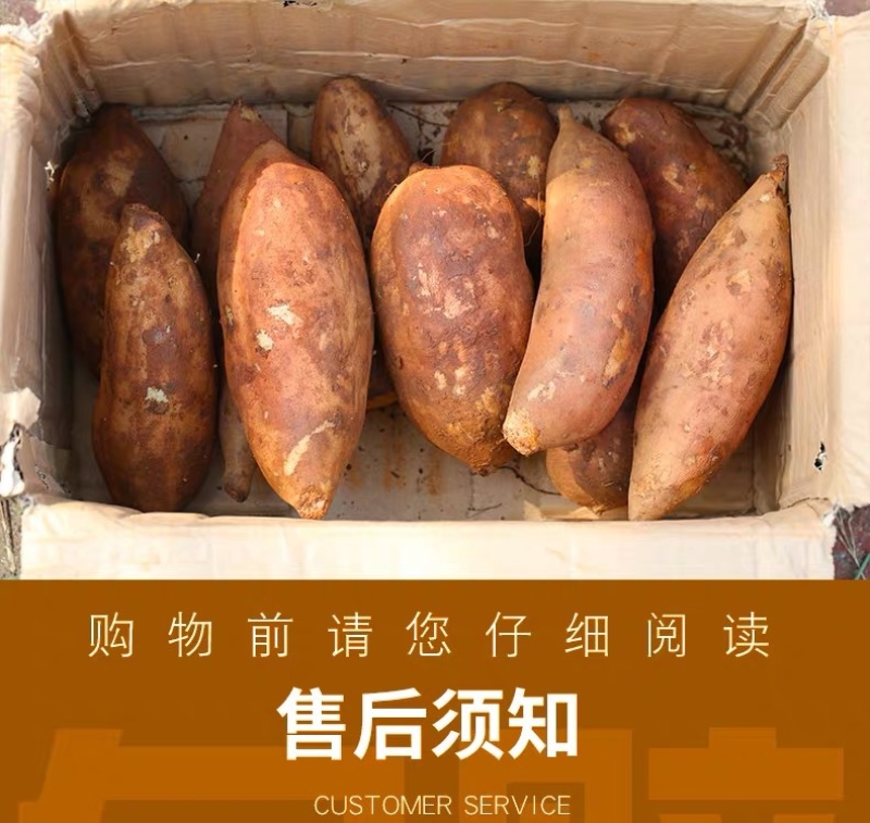 云南雪莲果低碳水果新鲜水果应季新鲜脆甜孕妇水果
