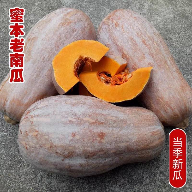 《南瓜》湖北南瓜/蜜本南瓜/产地批发/供应市场电商
