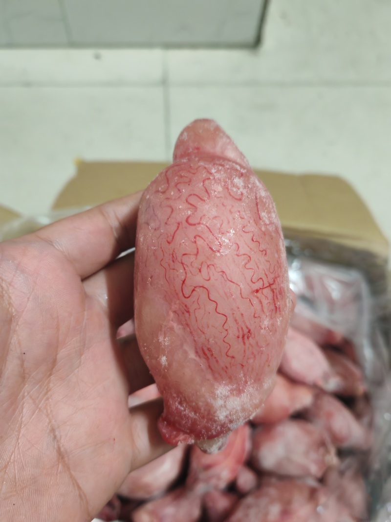 精修鲜冻羊宝，一手货源，品质保证，支持全国发货