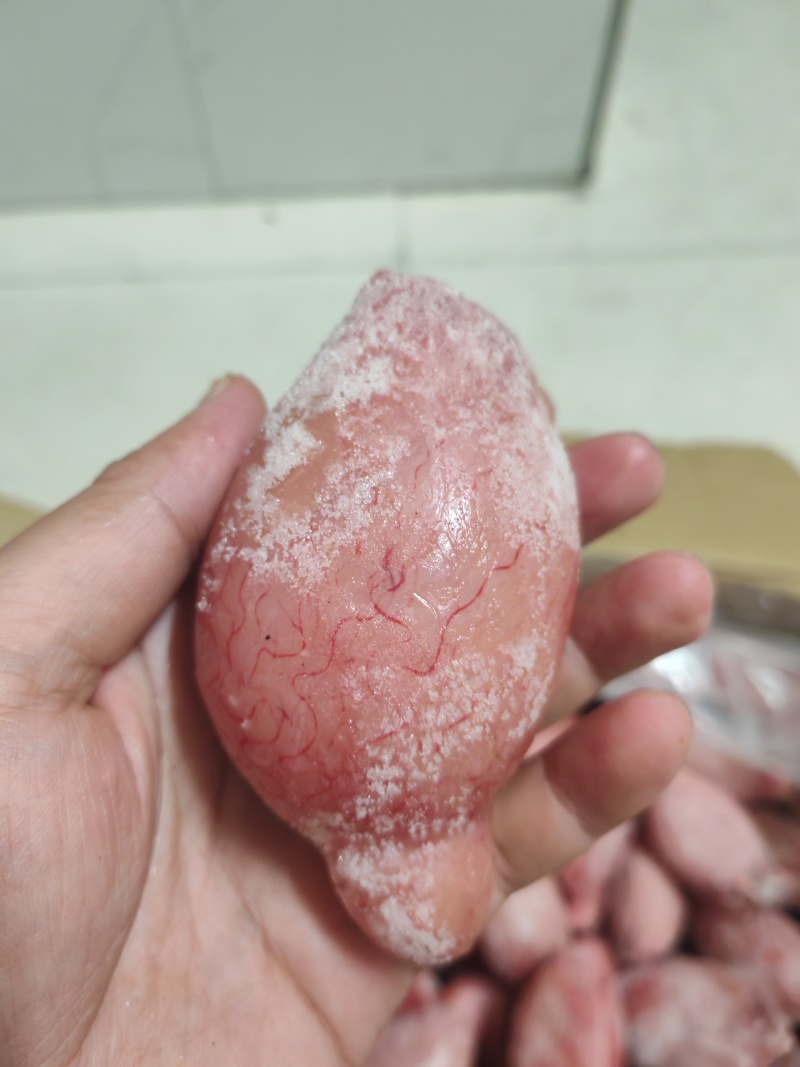 精修鲜冻羊宝，一手货源，品质保证，支持全国发货