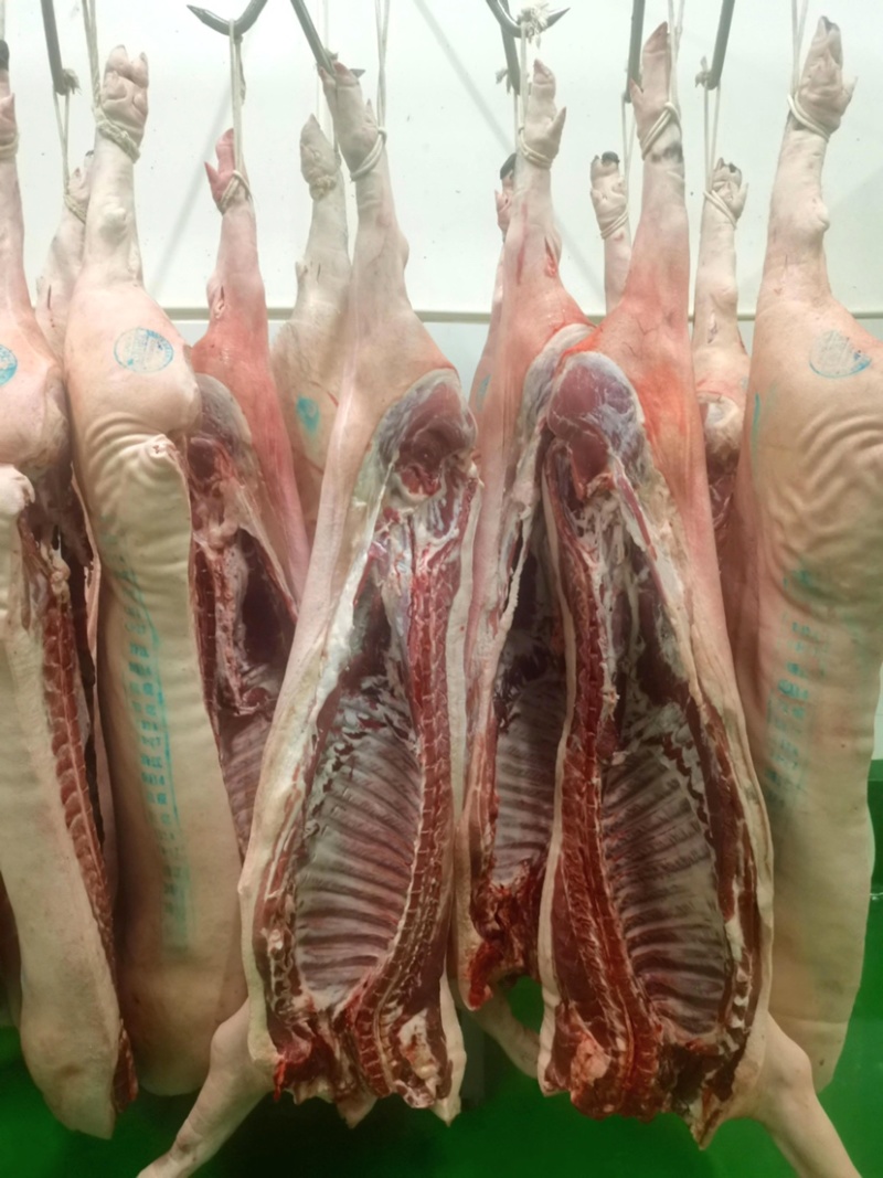 黑毛土猪肉300天慢养黑猪，可视频看货欢迎联系