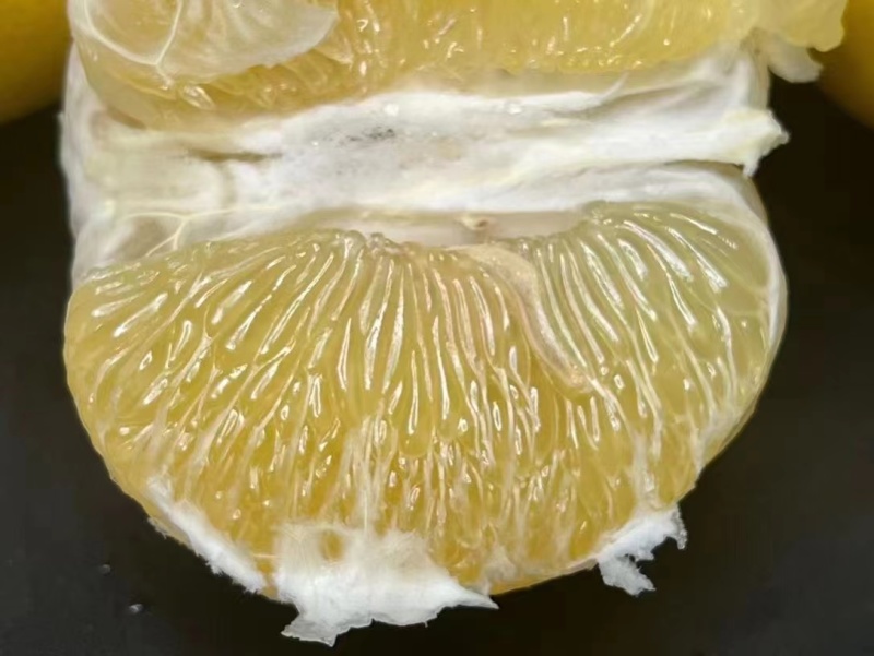 平和蜜柚.三红柚.红柚.葡萄柚，专业代办，需要的老板请电