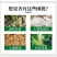 奥土沃生物有机肥改土抗重茬促生根提品质果树蔬菜底肥菌肥
