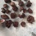 核桃菌(猴脑菌)核桃菌产地供应，猴脑菇品质保证常年有货