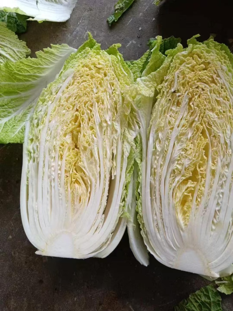 大白菜