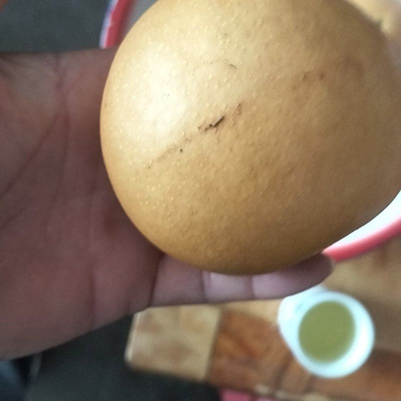 丰水梨