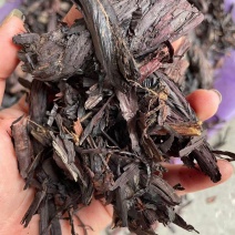 紫草/精选好货/批发兼零售，量大可商议，全国包邮