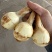 白肉茨菇白肉慈姑，基地直供货好价格低品质保证欢迎咨询