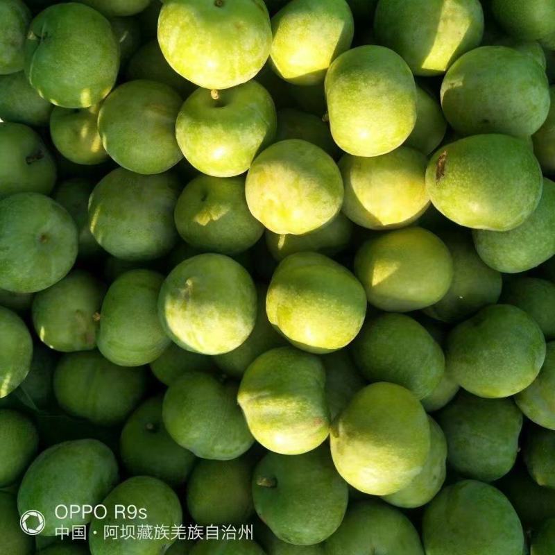 青红脆李，随行就市，支持视频看货，可发往全国市场