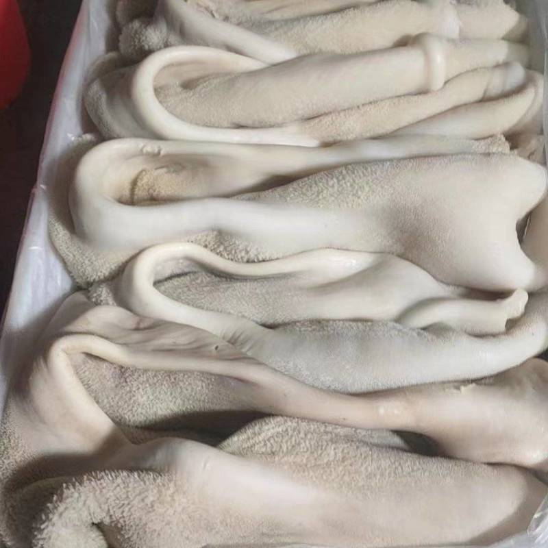 水退牛肚，半熟牛肚，全熟牛肚，牛大肚，带金钱肚