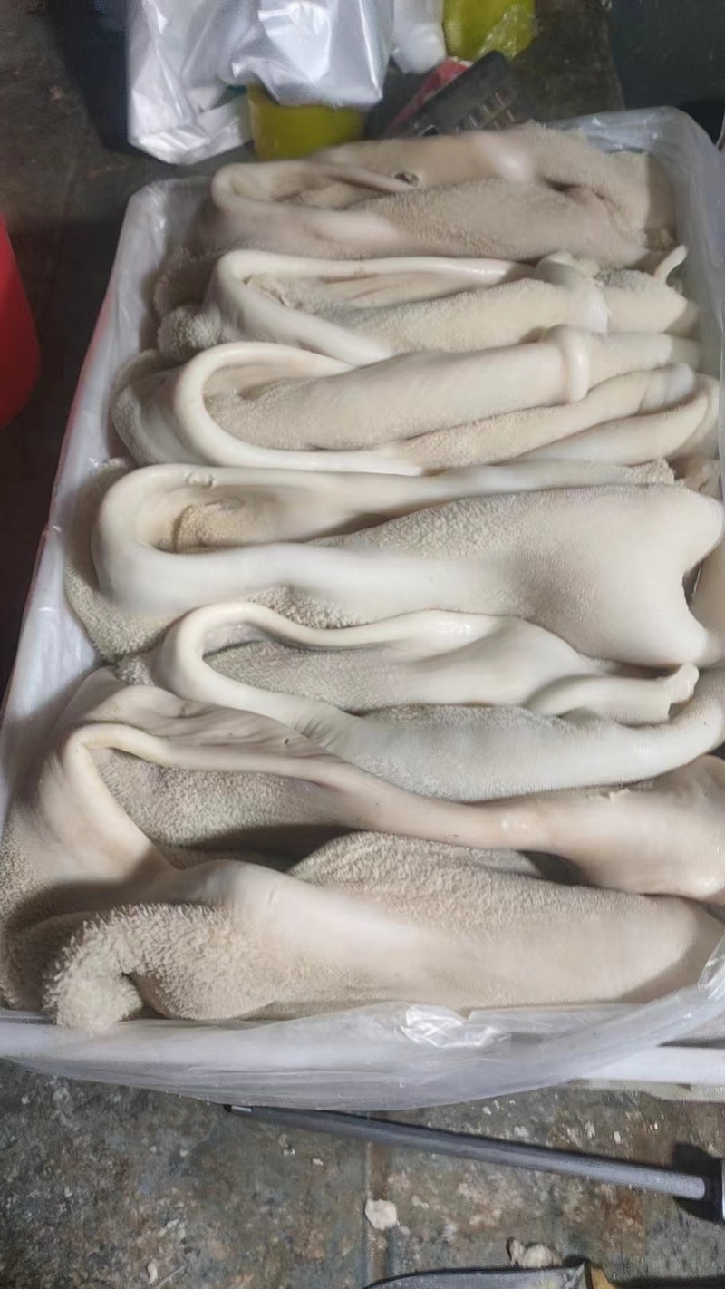水退牛肚，半熟牛肚，全熟牛肚，牛大肚，带金钱肚