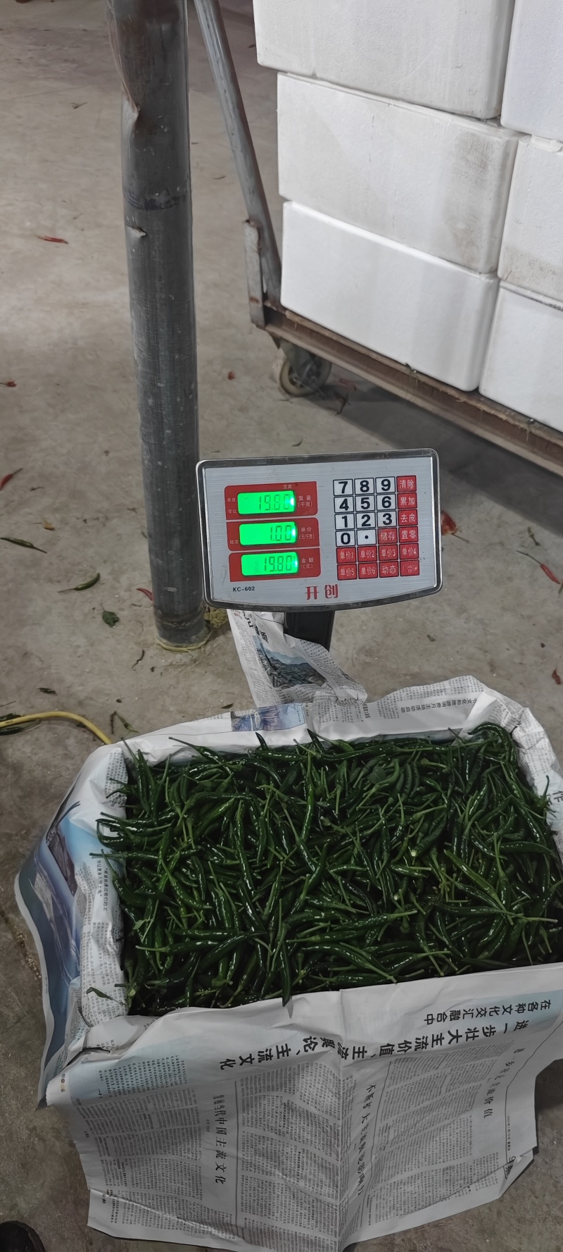小米辣艳青，产品直发大量供应青米椒产地直发