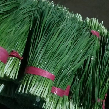 河北邯郸精品二刀大量上市对接全国市场量大从优欢迎采购