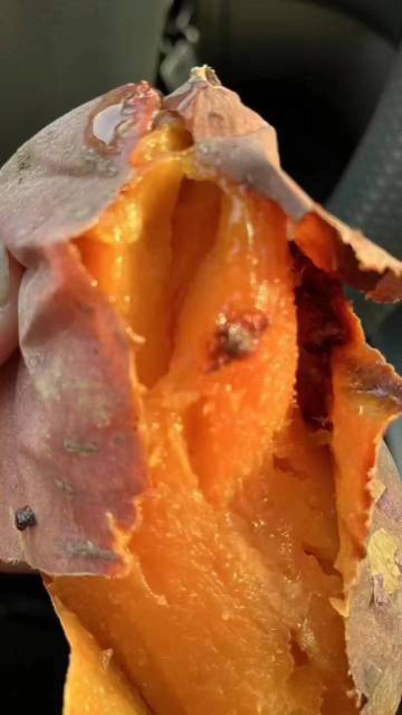 徐薯18，25，淀粉薯精选无虫眼光滑，电商超市全国发货