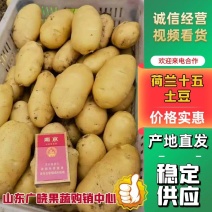 【推荐】山东荷兰十五土豆一手货源对接市场商超电商