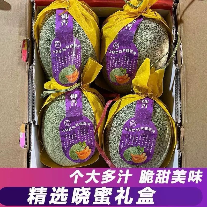 河南晓蜜25哈密瓜，大量现货，全国供应，对接市场电商