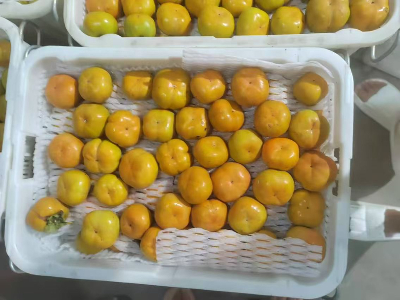 甜橙牛奶成品图