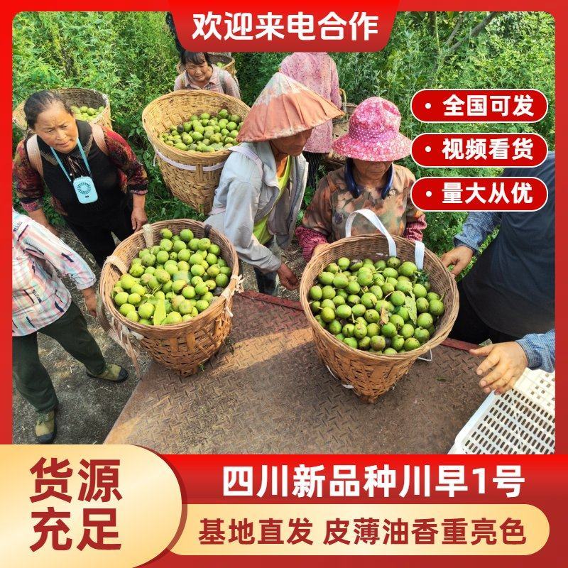 四川新品种川早1号，基地直售，皮薄油香重，亮色，出货率高