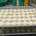手工小笼包，厂家直发量大优惠。欢迎新老客户前来合作