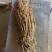 防风精品，无硫，自然晾晒，质量有保障，放心选购
