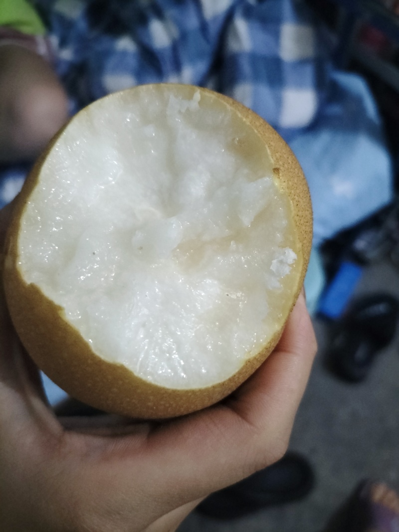 肉质细腻，果核小，可食用率达到95%，