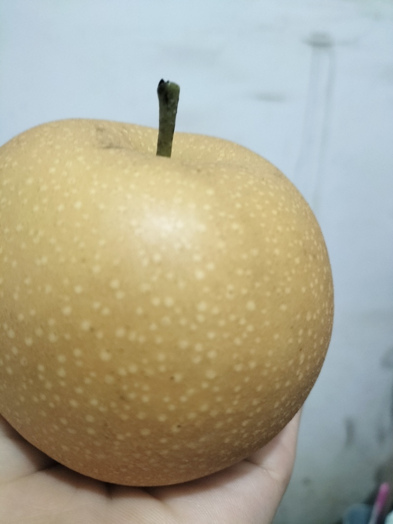 肉质细腻，果核小，可食用率达到95%，