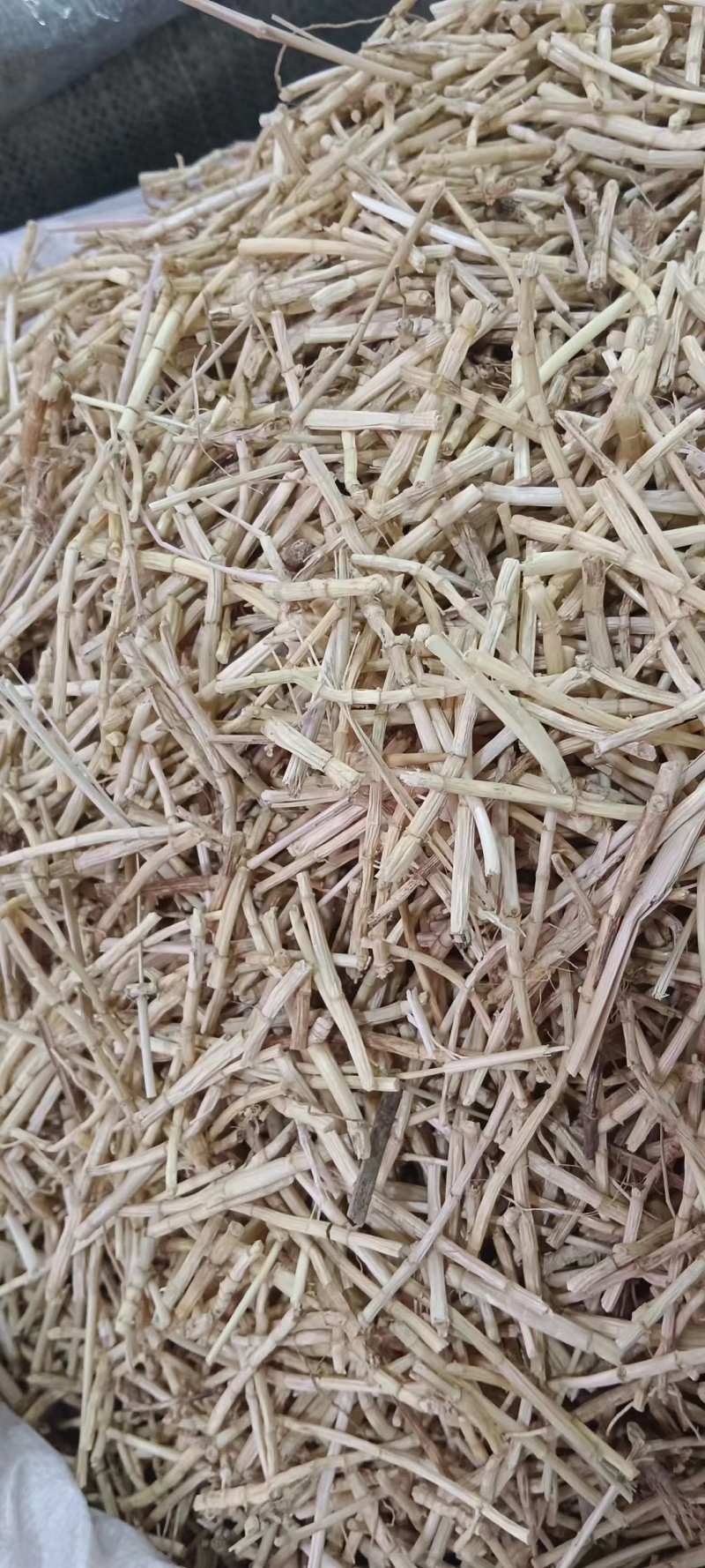 白矛根