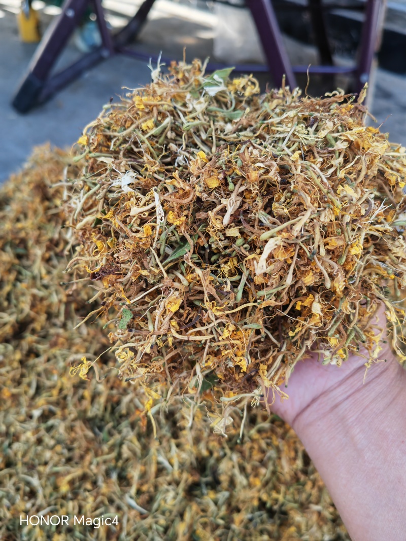 贵州安龙野生金银花，百分之七八十开花，晒花，无硫