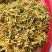 贵州安龙野生金银花，百分之七八十开花，晒花，无硫