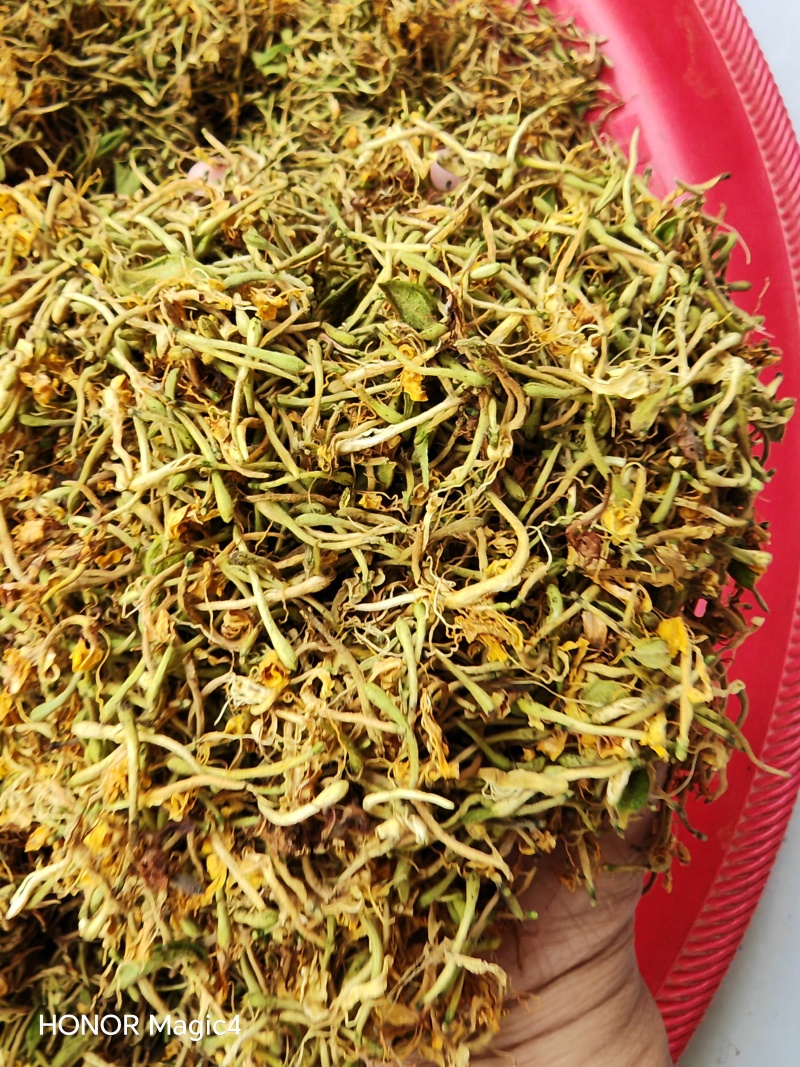 贵州安龙野生金银花，百分之七八十开花，晒花，无硫
