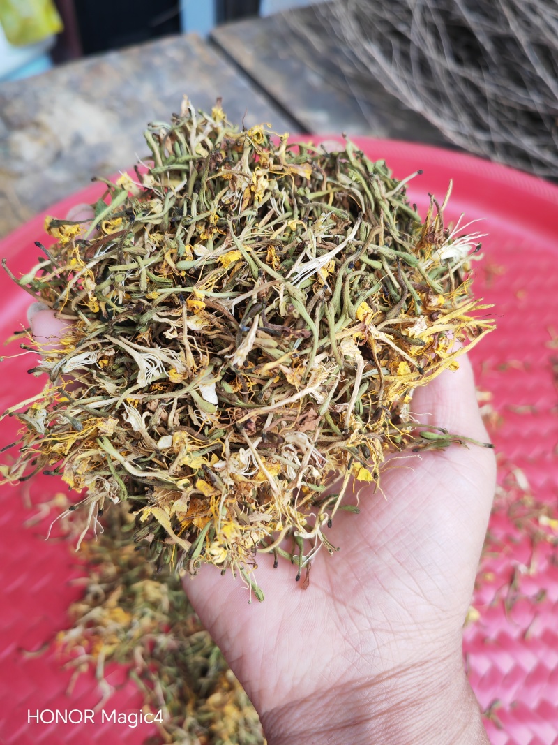贵州安龙野生金银花，百分之七八十开花，晒花，无硫