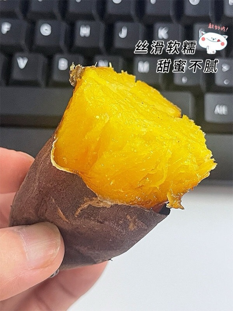 云南精品榴莲蜜薯高山丝滑玛莎莉