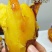 云南精品榴莲蜜薯高山丝滑玛莎莉
