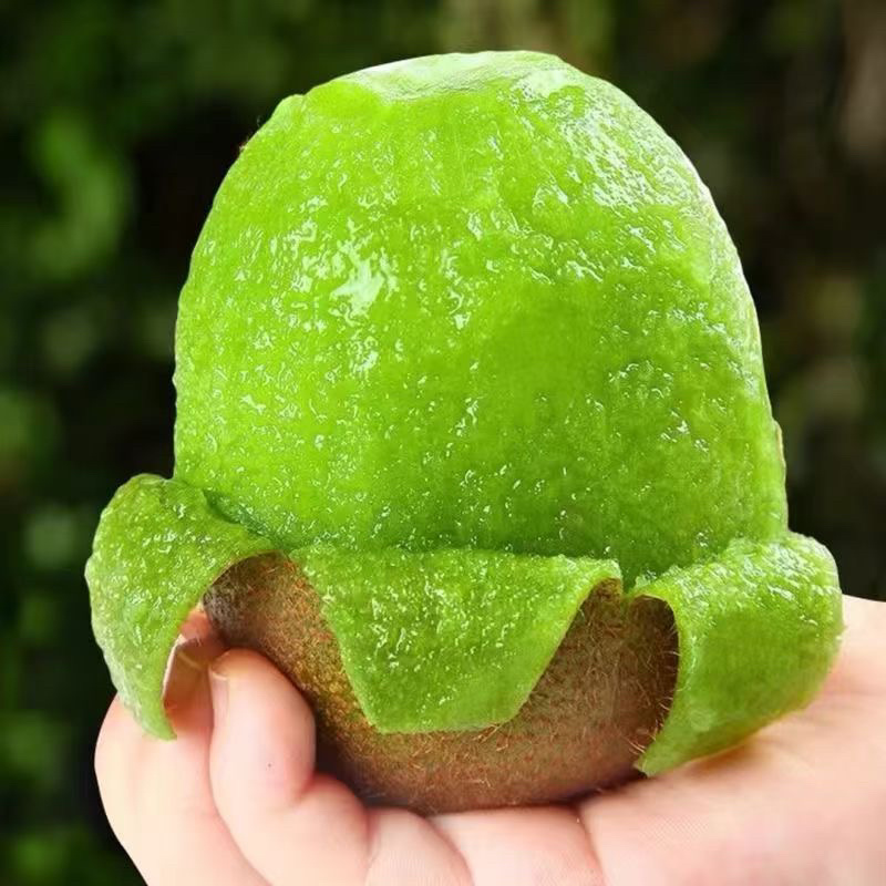 绿心猕猴桃🥝🥝🥝趣香三号