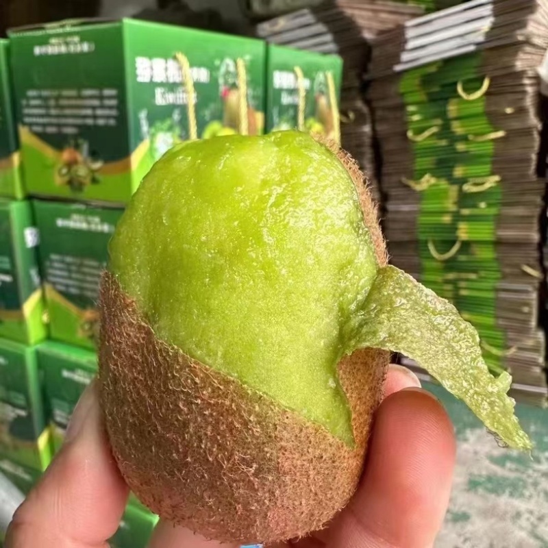 绿心猕猴桃🥝🥝🥝趣香三号