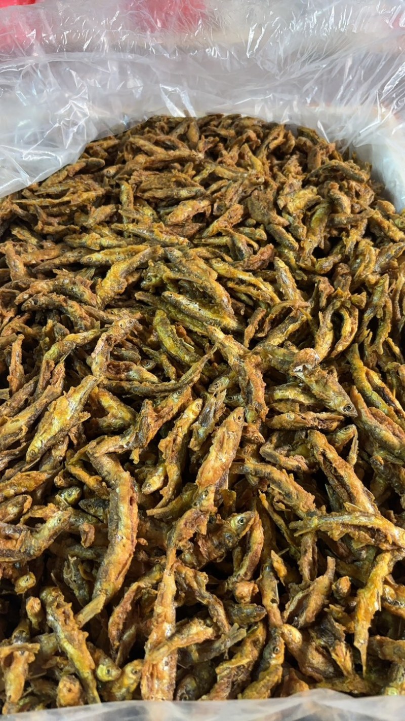 炸河鱼干，河源万绿湖炸鱼