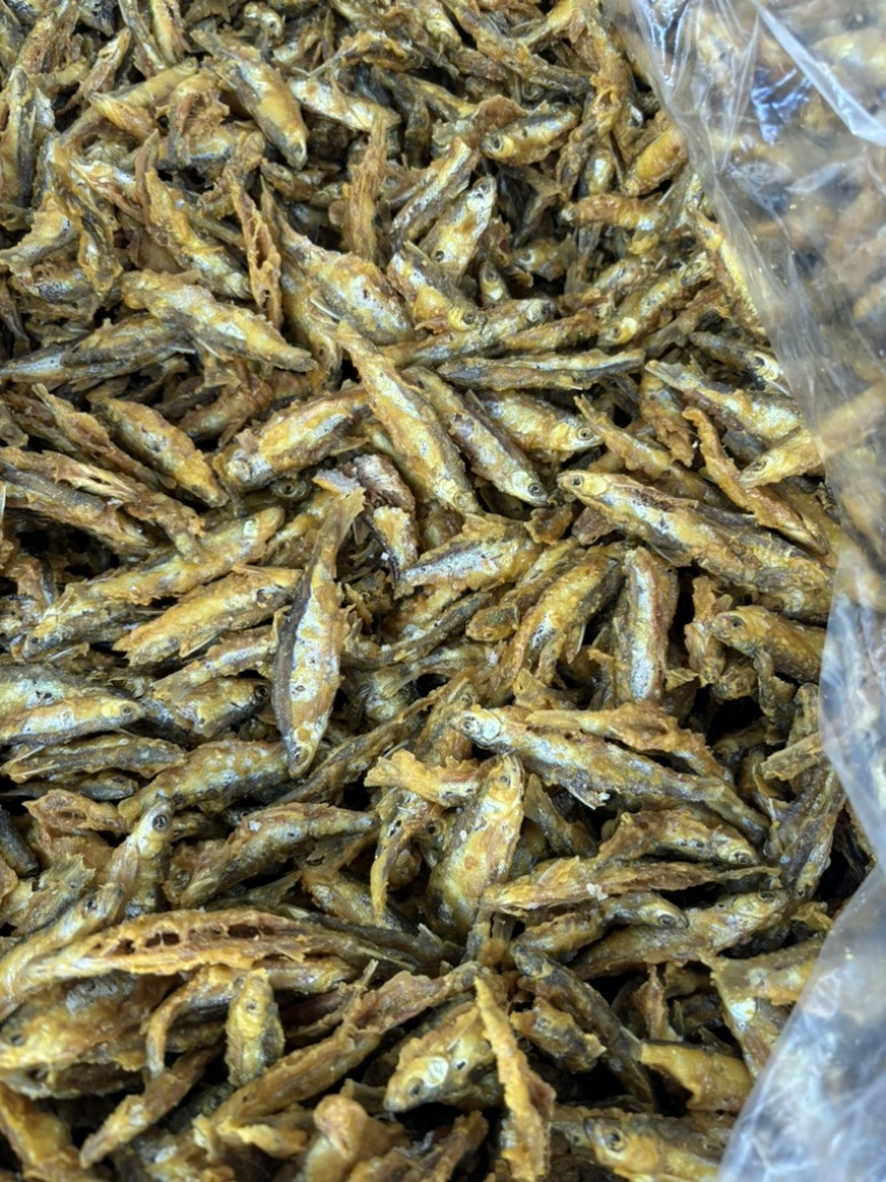 炸河鱼干，河源万绿湖炸鱼