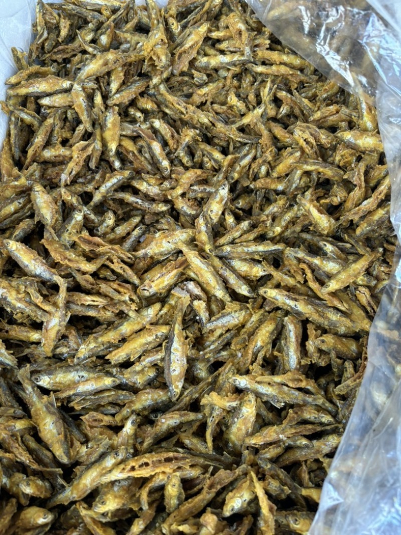 炸河鱼干，河源万绿湖炸鱼