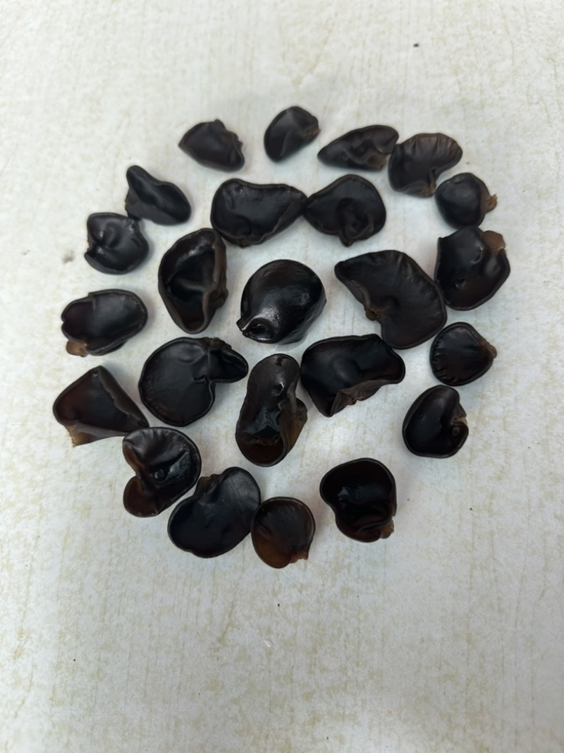主营东北黑木耳！一手货源直供电商！会销！支持一件代发！