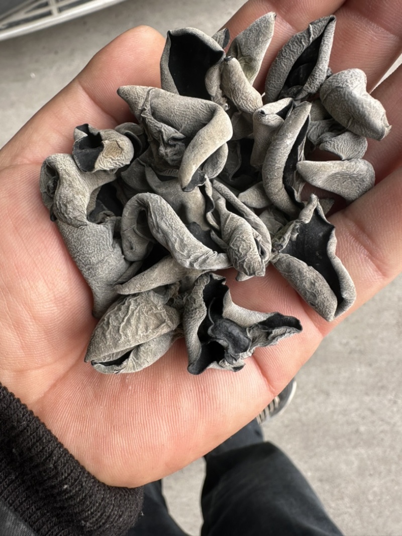 主营东北黑木耳！一手货源直供电商！会销！支持一件代发！