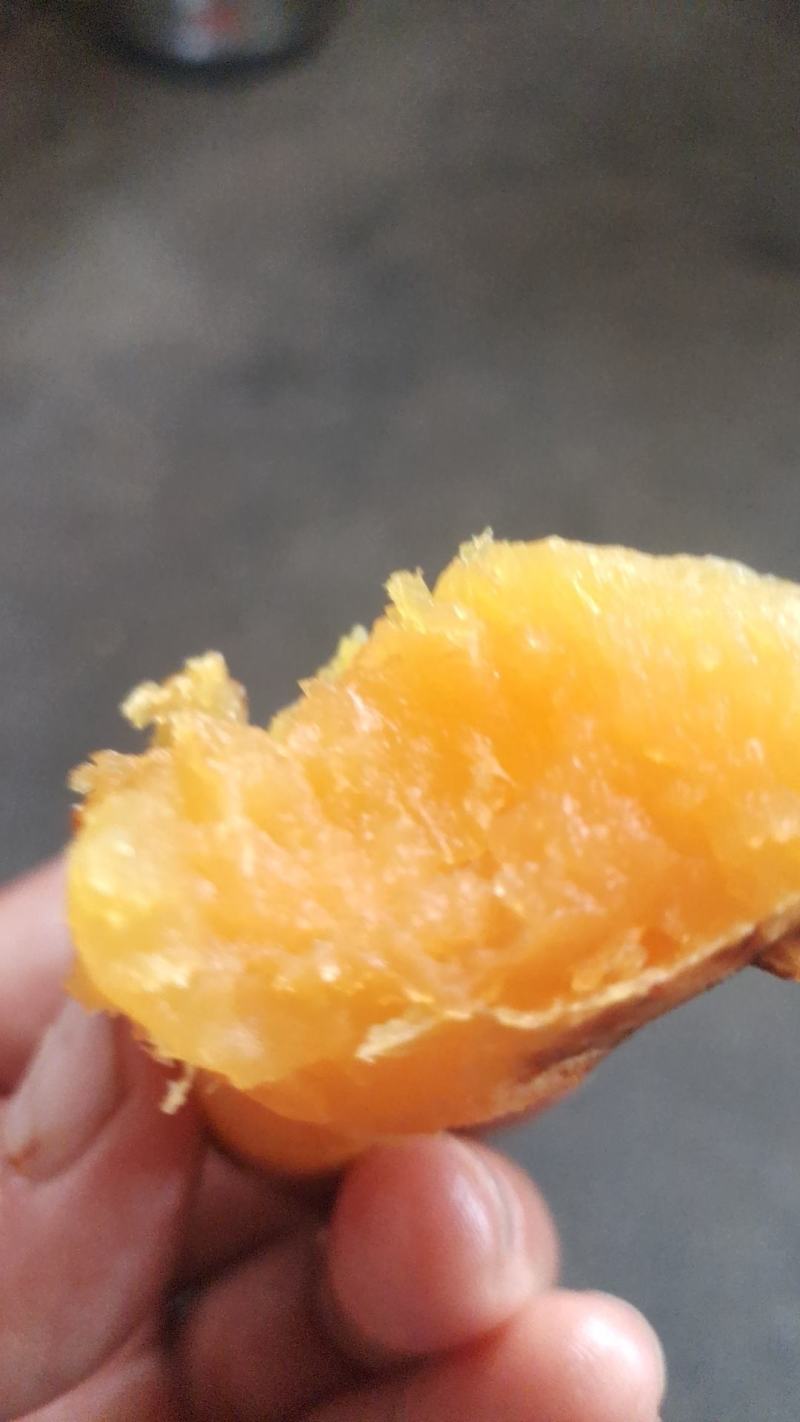 烟薯/烟薯25/红薯/红皮，玛沙丽，产地直发品质好