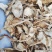 野生鹅蛋菌，手工切片无霉无杂干度好，新品上市数量有限